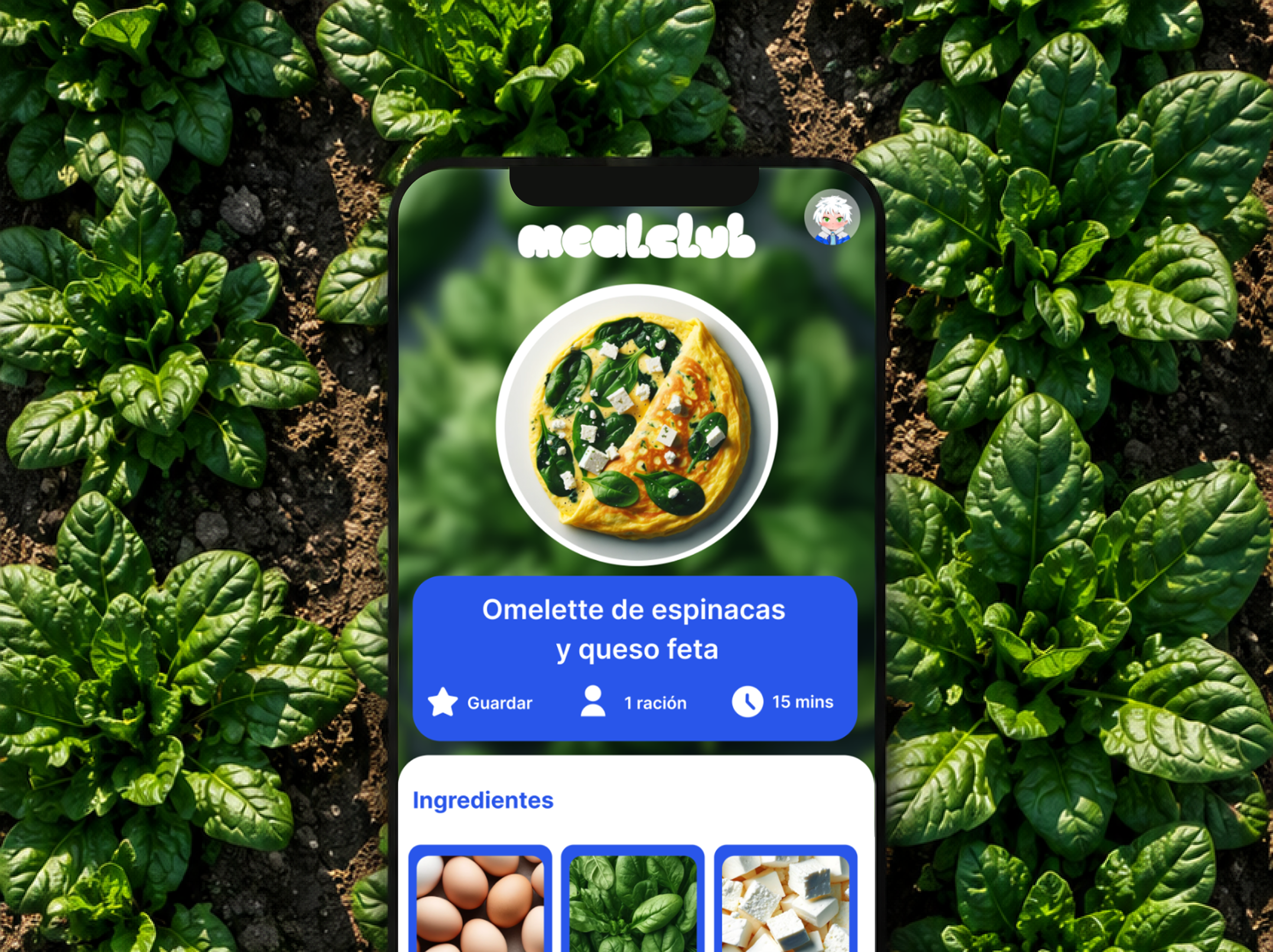 MealClub final interface mockup with a polished recipe detail screen