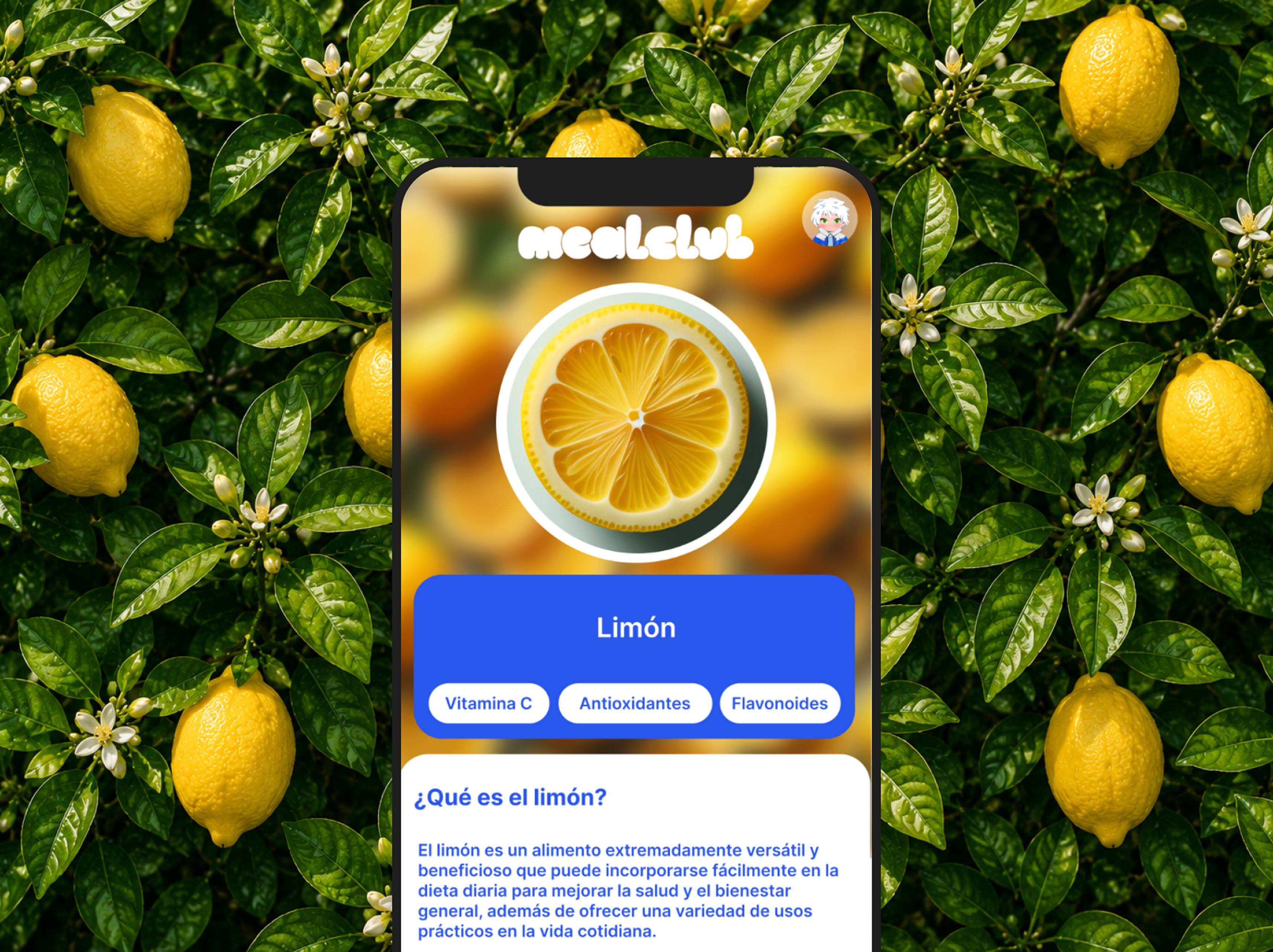 MealClub final interface mockup with food content screens and user actions