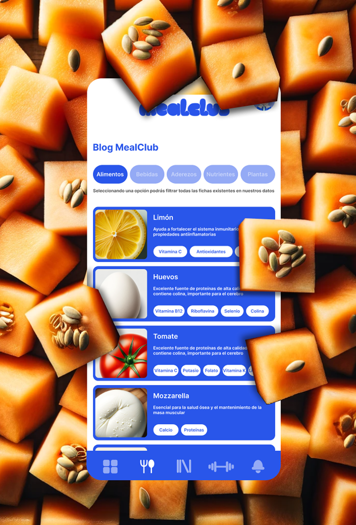 MealClub final product board with blue app screens, food learning modules and recipe guidance